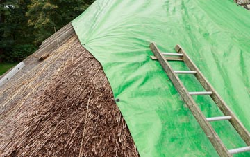 maintaining Tangmere thatch